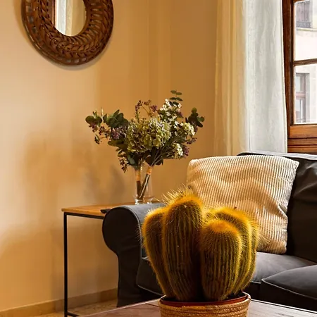 Emblematic Canarian House Tatil Evi